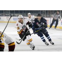 Zach O'Brien of the Chicago Wolves Chases the Puck vs. the Manitoba Moose