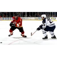 Atlanta Gladiators Battle Greenville Swamp Rabbits