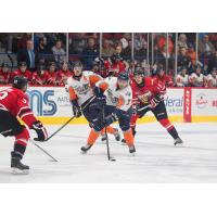 Flint Firebirds Skate against the Owen Sound Attack