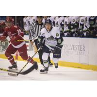 Bloomington Thunder vs. Dubuque Fighting Saints