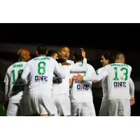 New York Cosmos Celebrate a Victory