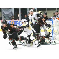 Wheeling Nailers vs. the Quad City Mallards