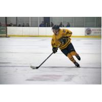 Springfield Jr Blues on the Ice