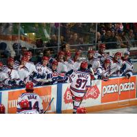 Kitchener Rangers Bench Celebrates a Goal