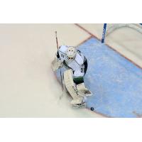Florida Everblades Goaltender Daniel Altshuller