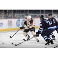 Jordan Caron of the Chicago Wolves Tries to Control the Puck vs. the Manitoba Moose