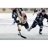 Evan Trupp of the Chicago Wolves vs. the Manitoba Moose