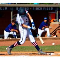 High Point-Thomasville HiToms at the Plate