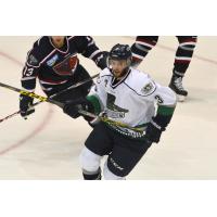 Florida Everblades Defenseman Mark Nemec vs. the South Carolina Stingrays