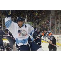 Evansville IceMen Forward Nathan Moon Celebrates a Goal