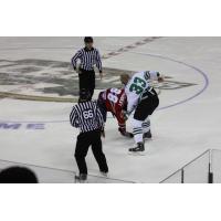 Louisiana IceGators Fight vs. Peoria Rivermen