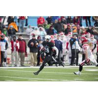 Orlando Predators Signee Brandan Green