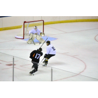 Mississippi RiverKings Goaltender Matt Grogan