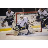 Bloomington Thunder Goaltender Logan Halladay