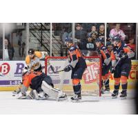 Flint Firebirds Goaltender Alex Nedeljkovic Stops the Sarnia Sting