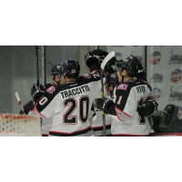 Brampton Beast Celebrate a Goal