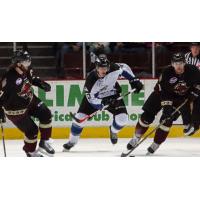 Atlanta Gladiators vs. the Idaho Steelheads