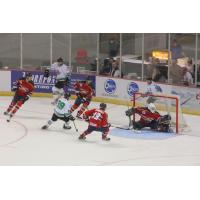 Louisiana IceGators Defend against the Peoria Rivermen