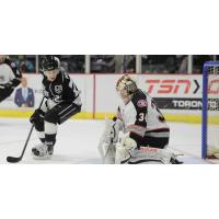 Manchester Monarchs Skate in on the Brampton Beast