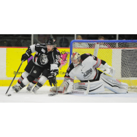 Brampton Beast Face the Manchester Monarchs