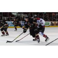Atlanta Gladiators Control the Puck vs. the Idaho Steelheads