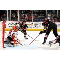 The Binghamton Senators Shoot in Front of the Lehigh Valley Phantoms Goal