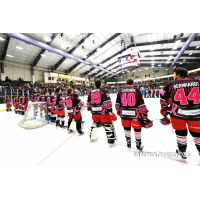 Elmira Jackals Pink in the Rink