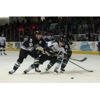 Forward Emil Molin Skates with the Idaho Steelheads