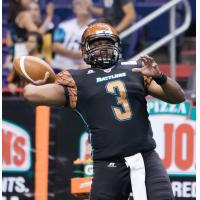 Arizona Rattlers Quarterback Shane Boyd