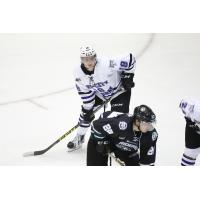 Carson Meyer of the Tri-City Storm