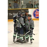 Danbury Titans Celebrate Goal