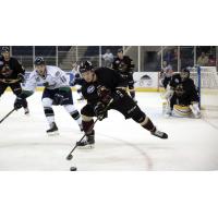Atlanta Gladiators vs. Florida Everblades