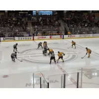 HarborCenter, Home of the Buffalo Beauts