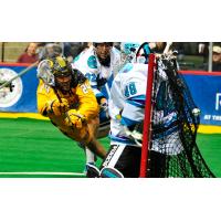 Georgia Swarm Transition Player Jordan Macintosh