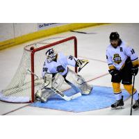 Mississippi RiverKings Goaltender Matt Grogan