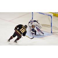 Daniel Bahntge of the Atlanta Gladiators Scores vs. the Greenville Swamp Rabbits