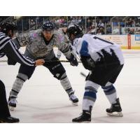 Florida Everblades Face off against the Idaho Steelheads