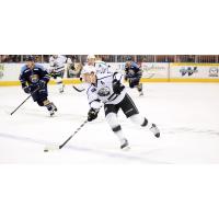 Manchester Monarchs Press the Action vs. the Toledo Walleye