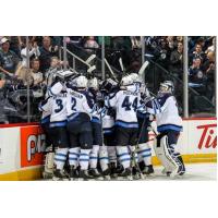 Manitoba Moose Celebration