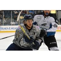 Florida Everblades vs. the Idaho Steelheads