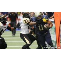 Running Back Andrew Pierce with the Tri-Cities Fever