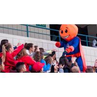 Bakersfield Condors Field Trip Day Game