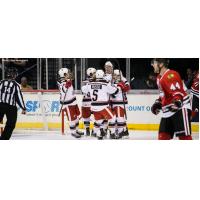 Grand Rapids Griffins Celebrate a Goal vs. the Rockford IceHogs