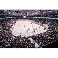Flint Firebirds Game Action