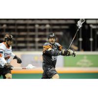 Drew Petkoff with the New England Black Wolves