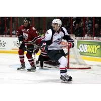 Windsor Spitfires vs. Guelph Storm