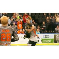 Syracuse Silver Knights Celebrate a Goal