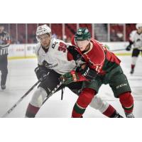 Lake Erie Monsters vs. the Iowa Wild