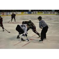 Corpus Christi IceRays vs. Lone Star Brahmas