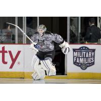 Chicago Wolves Goaltender Jordan Binnington